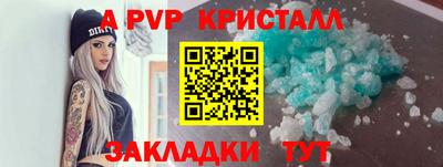 спиды Камышлов