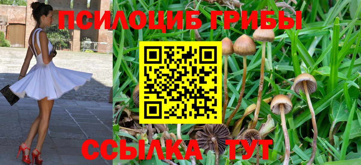 Галлюциногенные грибы Psilocybe  Вход с VPN  Ишим 